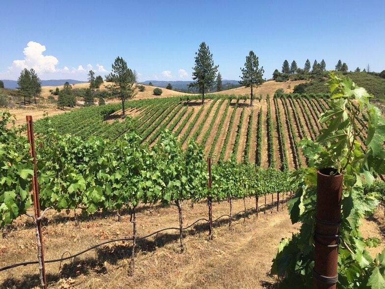 7005 Mountain Ranch Rd, Mountain Ranch, CA for sale - Primary Photo - Image 1 of 23