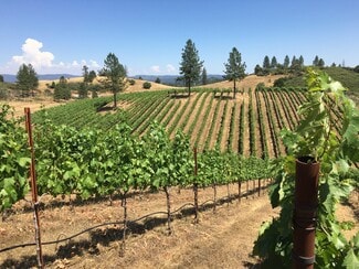 More details for 7005 Mountain Ranch Rd, Mountain Ranch, CA - Land for Sale