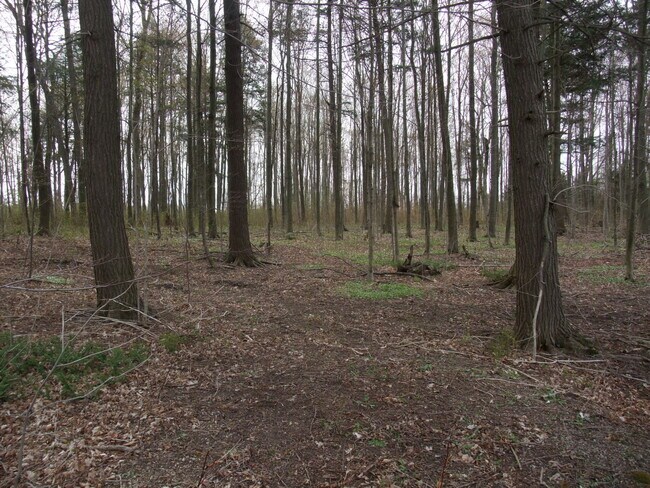 Plus de détails pour 8949 Wellington 22, Erin, ON - Terrain à vendre