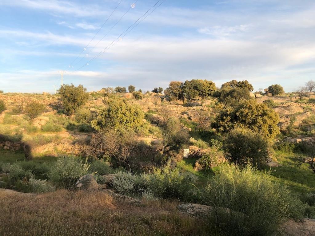 Land in Aldea del Cano, Cáceres for sale Aerial- Image 1 of 3
