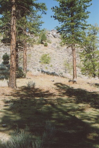 Plus de détails pour 457-315 Honey View Ln, Milford, CA - Terrain à vendre