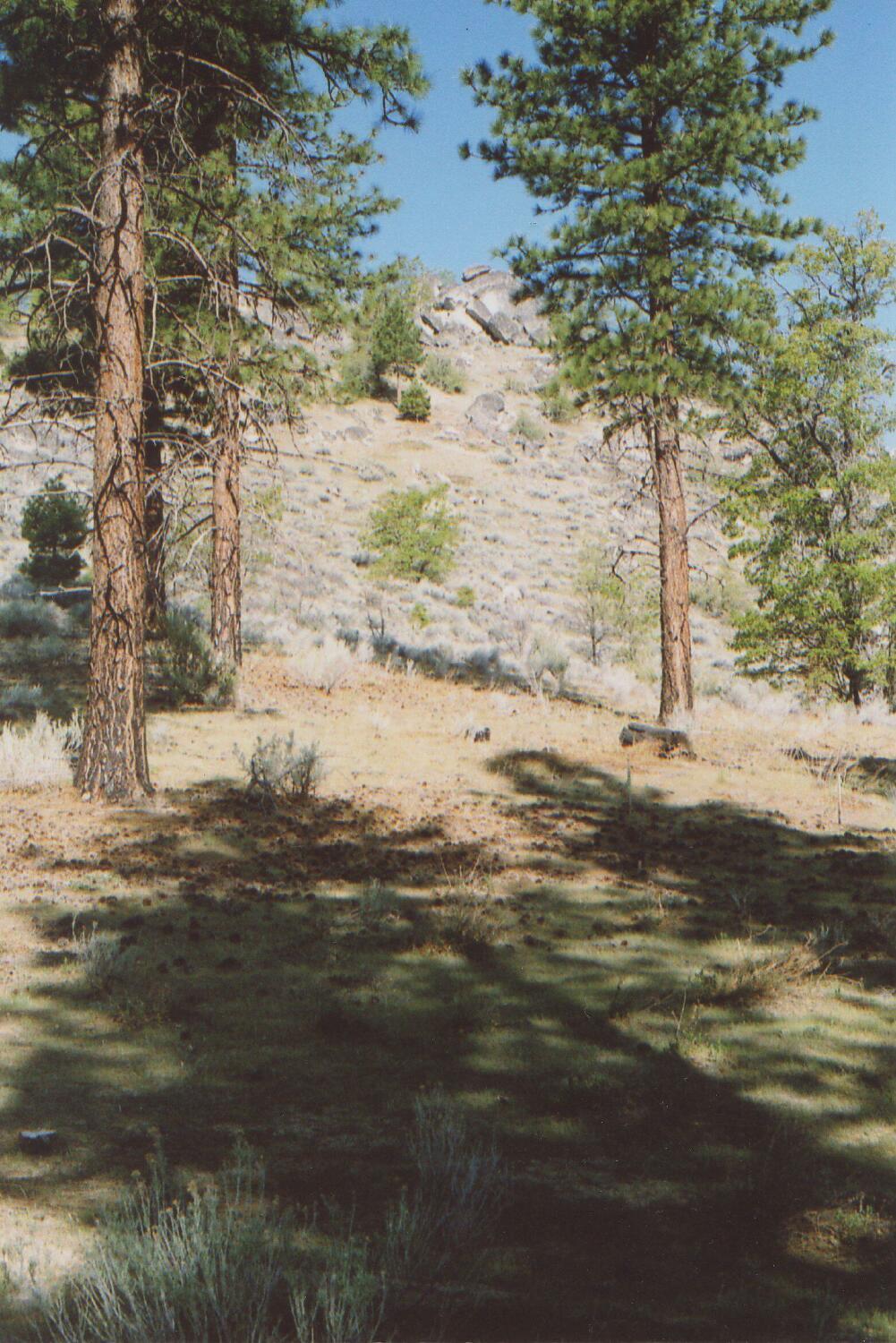 457-315 Honey View Ln, Milford, CA à vendre Autre- Image 1 de 17