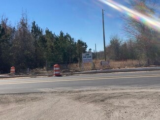 More details for 1200-1700 Approx. 1200 - 1700 Block of Alligator Road, Effingham, SC - Land for Lease