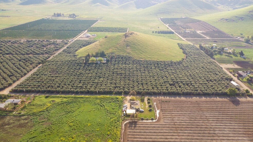 24257 Ave 234, Lindsay, CA for sale - Primary Photo - Image 1 of 20