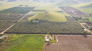 Plus de détails pour 24257 Ave 234, Lindsay, CA - Terrain à vendre