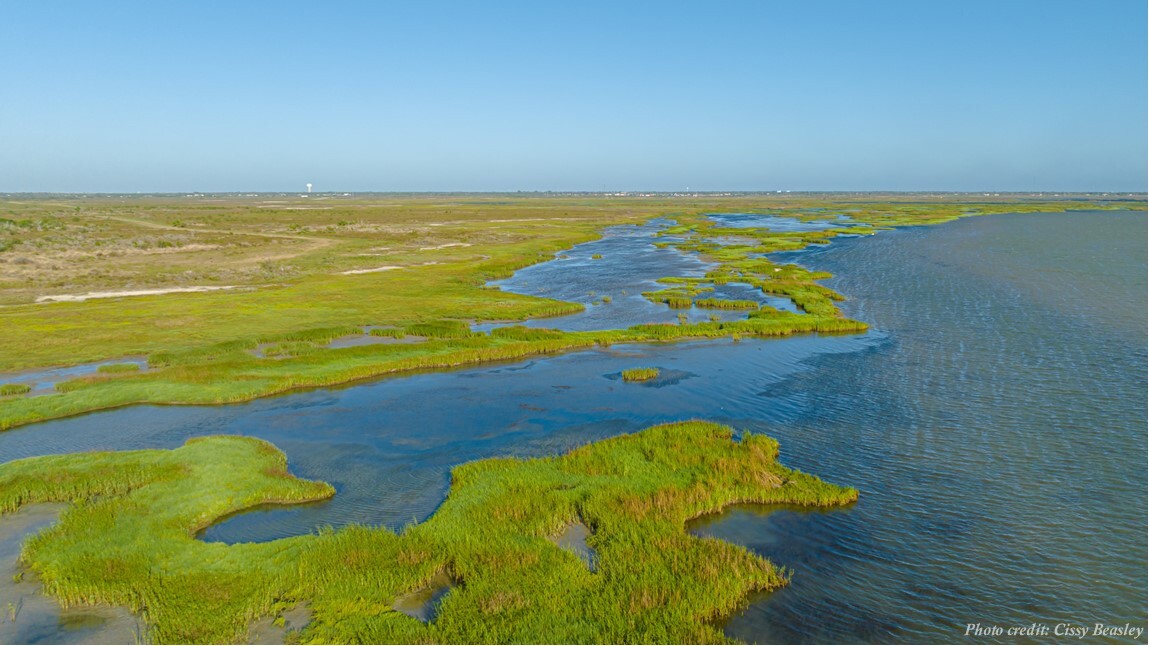 1751 FM 1781, Rockport, TX à vendre Photo du b timent- Image 1 de 36