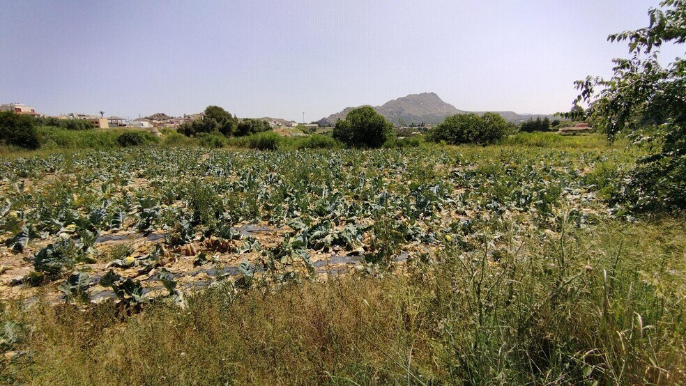 Land in Calasparra, Murcia for sale - Site Plan - Image 2 of 7