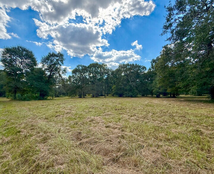 1 Mount Zion Road, New Waverly, TX à vendre - Photo du bâtiment - Image 2 de 17