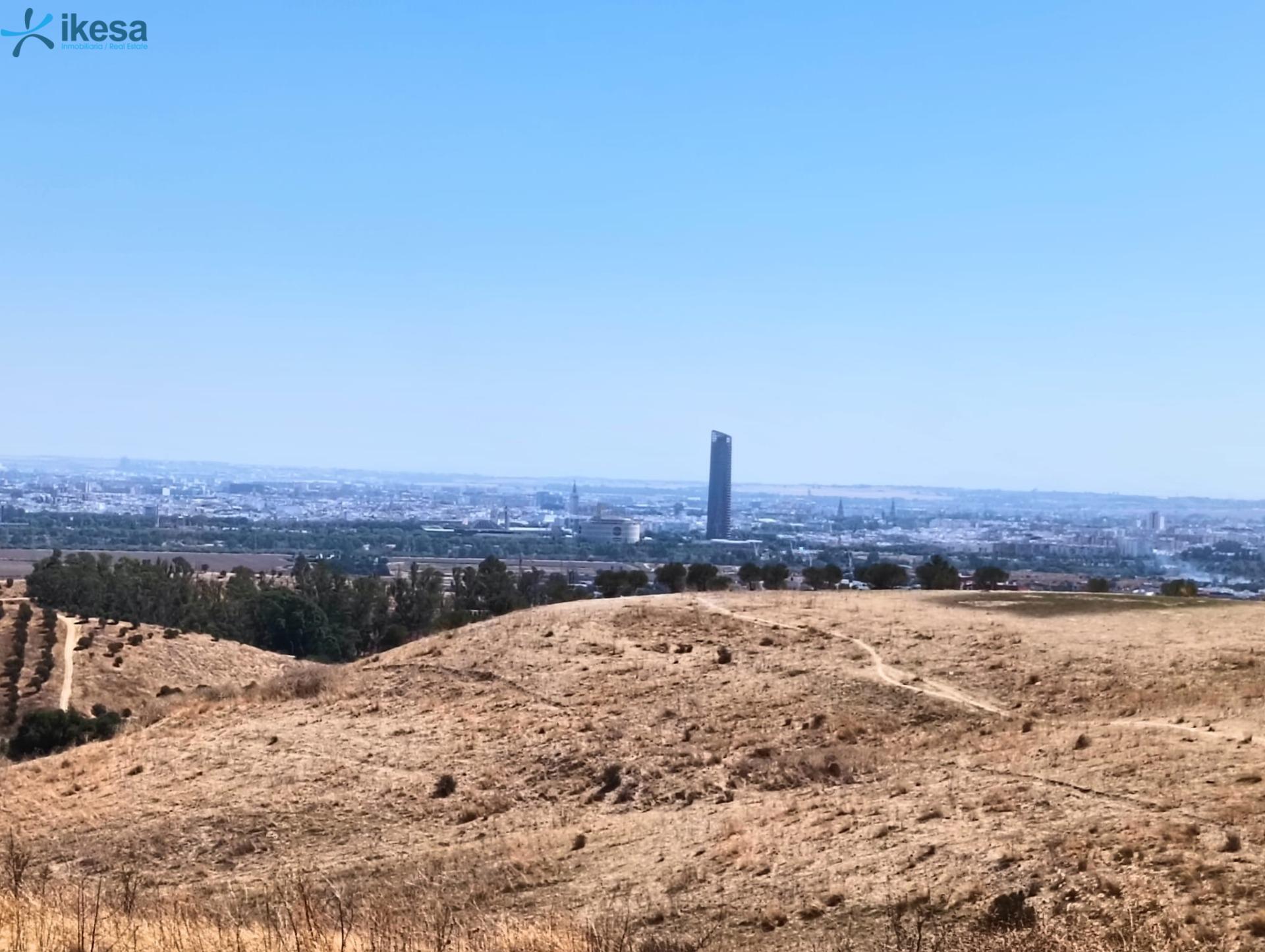 Terrain dans Castilleja de Guzmán, Sevilla à vendre Aérien- Image 1 de 7