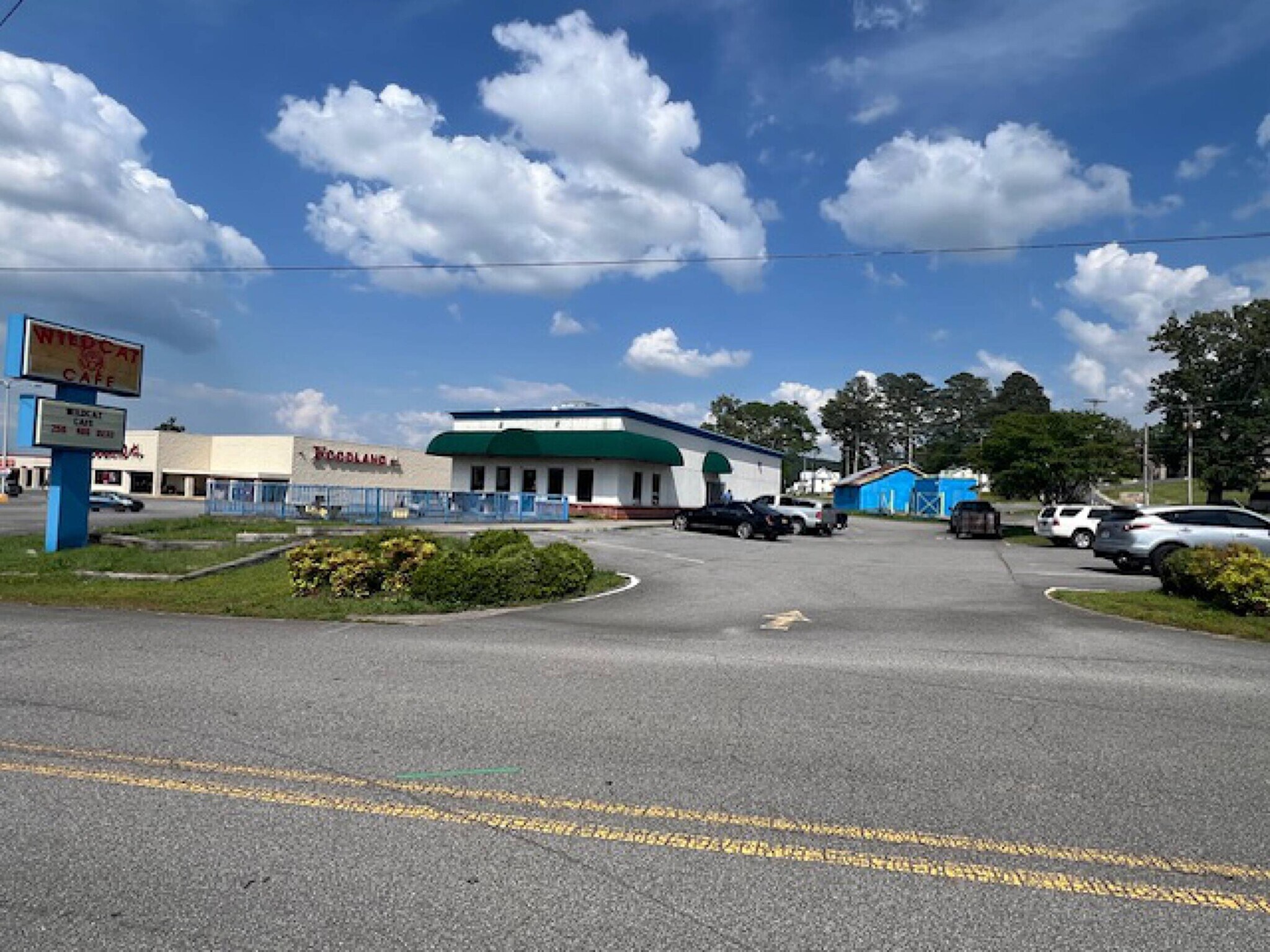 14164 US Highway 431, Guntersville, AL for sale Primary Photo- Image 1 of 7