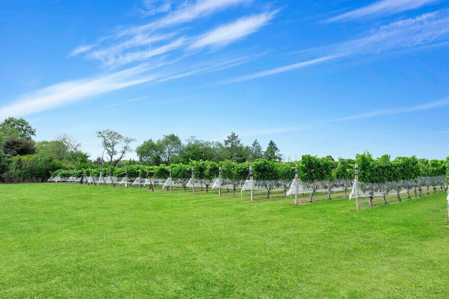 44075 Rte 25, Peconic, NY à vendre - Photo du bâtiment - Image 3 de 40