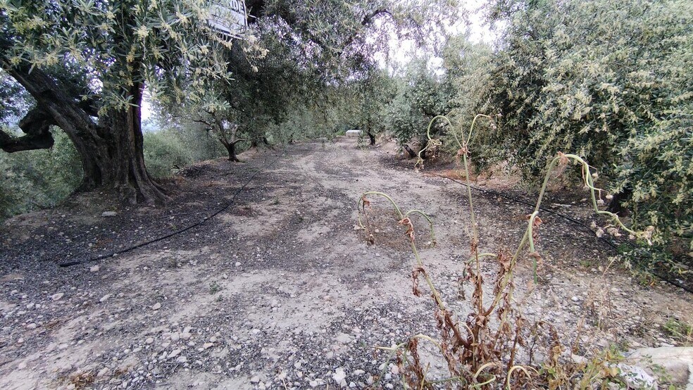Land in Calasparra, Murcia for sale - Building Photo - Image 2 of 9