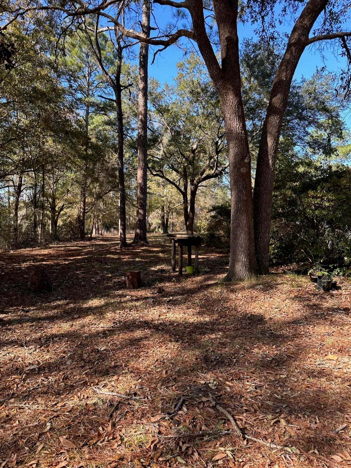 105 Pope St, Freeport, FL à vendre Photo principale- Image 1 de 7