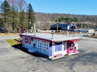 More details for 65 State Route 96 Rt, Owego, NY - Retail for Sale