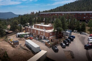 Plus de détails pour 30616 Bryant Dr, Evergreen, CO - Flex à vendre