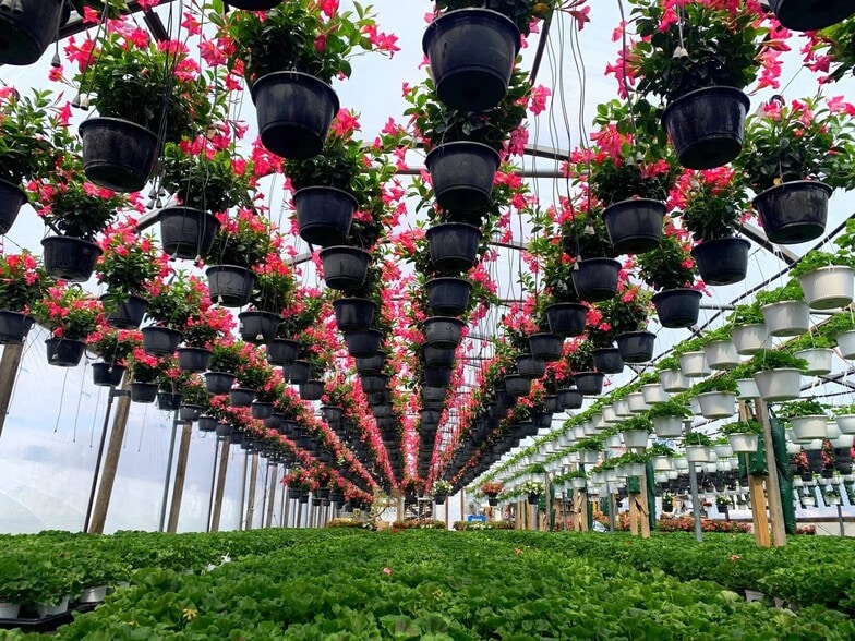 179 Sandwich Rd, Wareham, MA for sale - Building Photo - Image 2 of 5