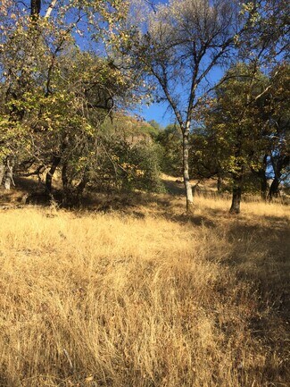 Plus de détails pour Ranch Camp Road, Somerset, CA - Terrain à vendre