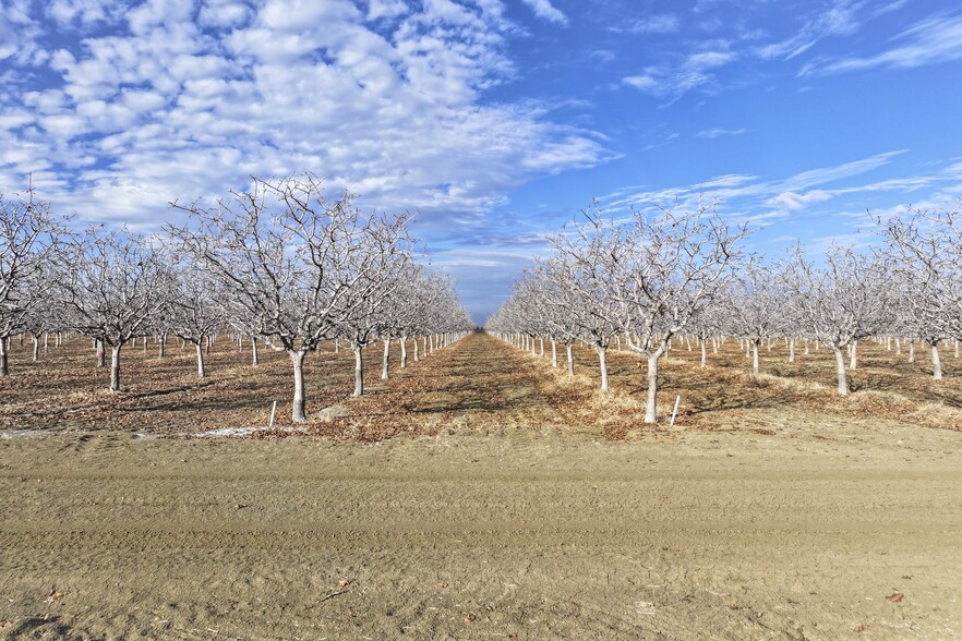 +/-193.88 Acres – Pistachios, Helm, CA for sale - Building Photo - Image 2 of 9