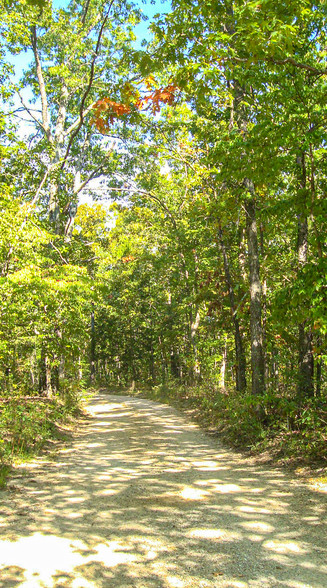 tbd Highway O, Mountain View, MO à vendre - Autre - Image 1 de 1