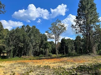 More details for 2618 Red Hill Rd, Eclectic, AL - Land for Sale