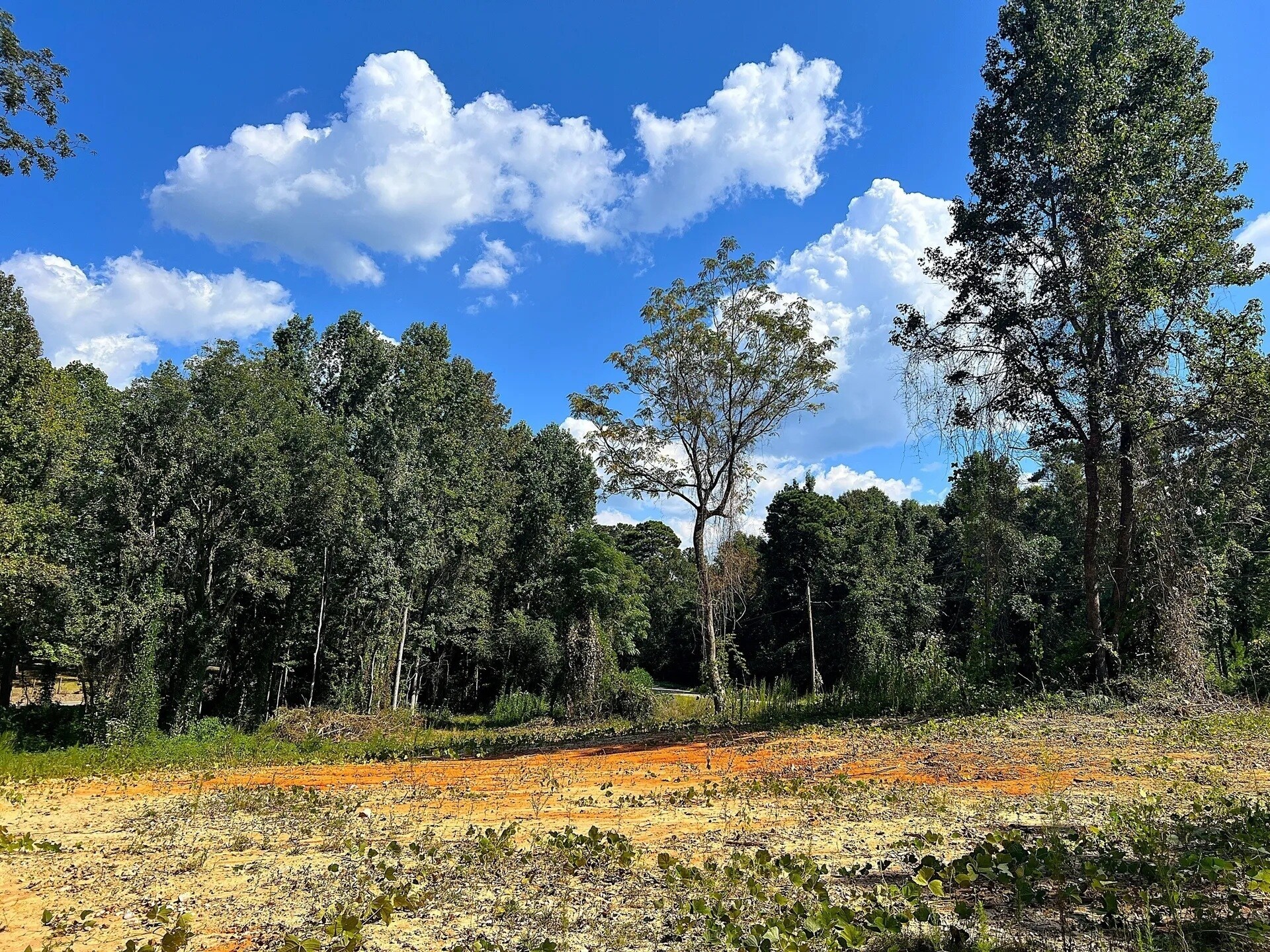 2618 Red Hill Rd, Eclectic, AL for sale Primary Photo- Image 1 of 6