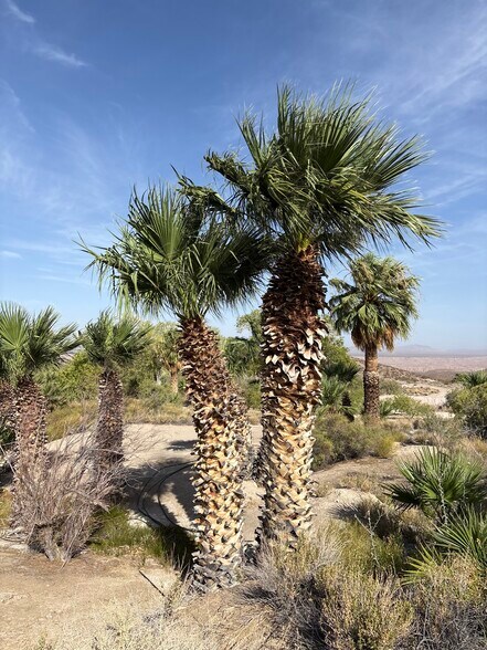 160 +/- Acres Juanita Springs Ranch, Bunkerville, NV à vendre - Photo du bâtiment - Image 1 de 14