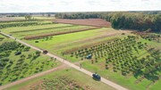 Erie Orchards and Cider Mills - Vignoble