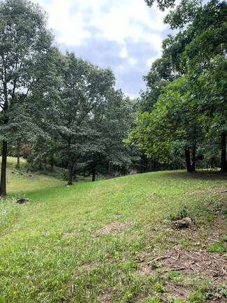 Plus de détails pour 10550 Rolling Oak Dr, Manchester, MI - Terrain à vendre