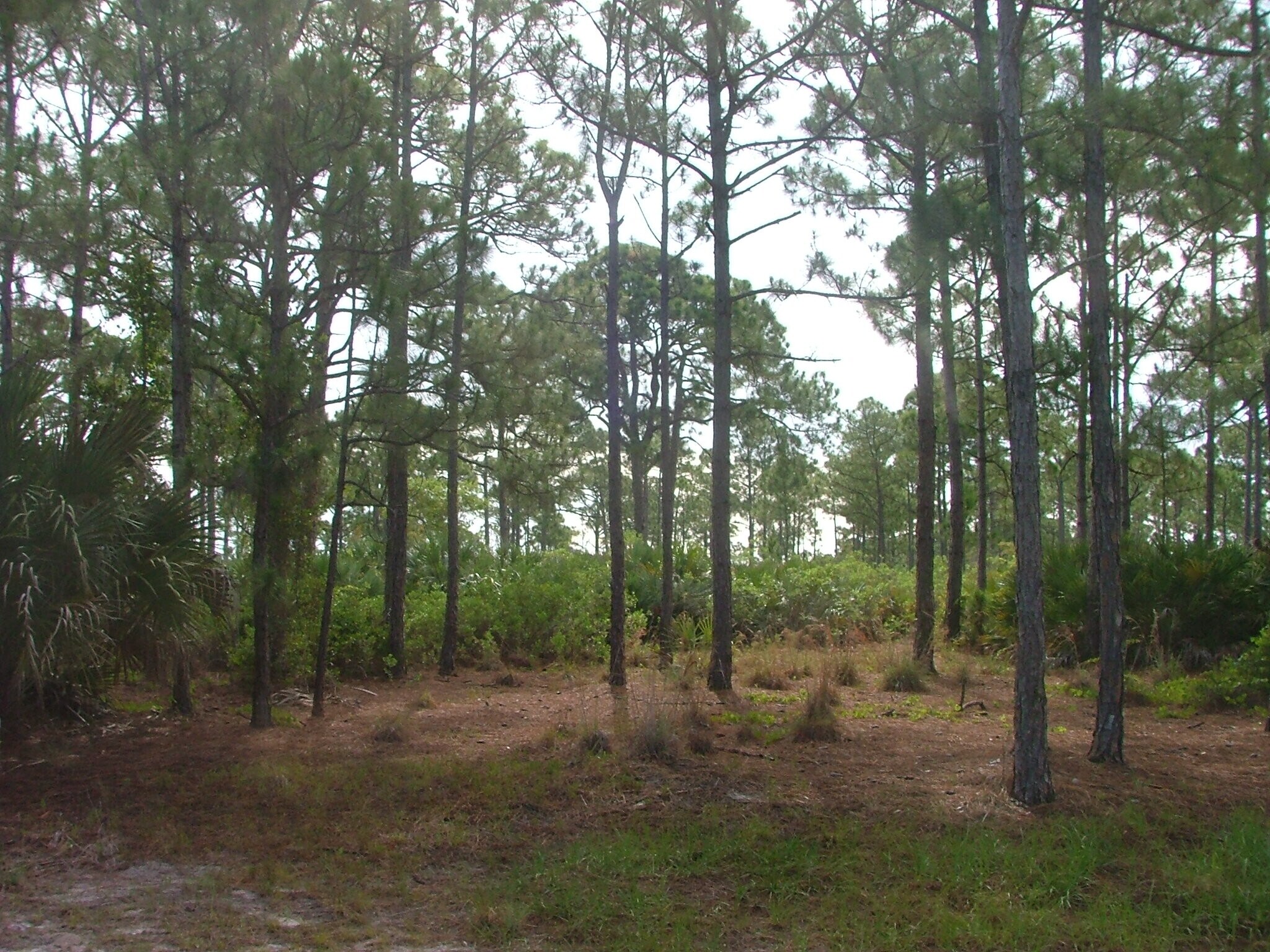 520 & 510 Sun Lakes, Melbourne, FL for sale Building Photo- Image 1 of 2