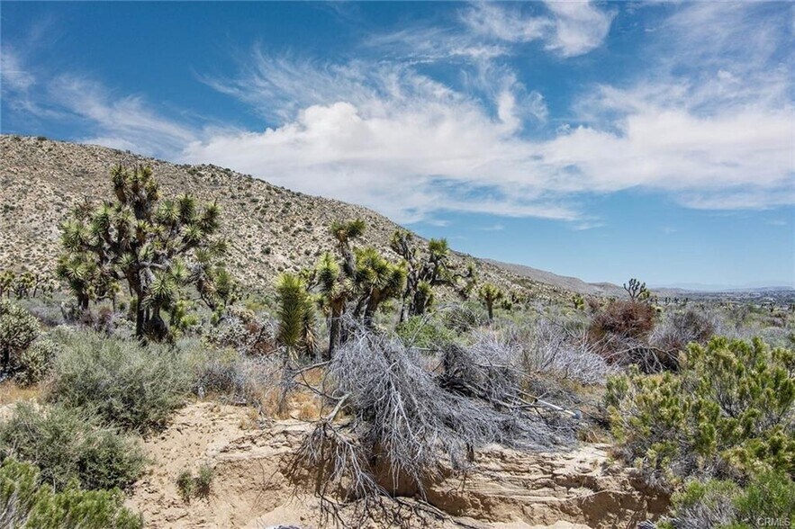54129 Pinon Dr, Yucca Valley, CA à vendre - Photo du bâtiment - Image 2 de 8