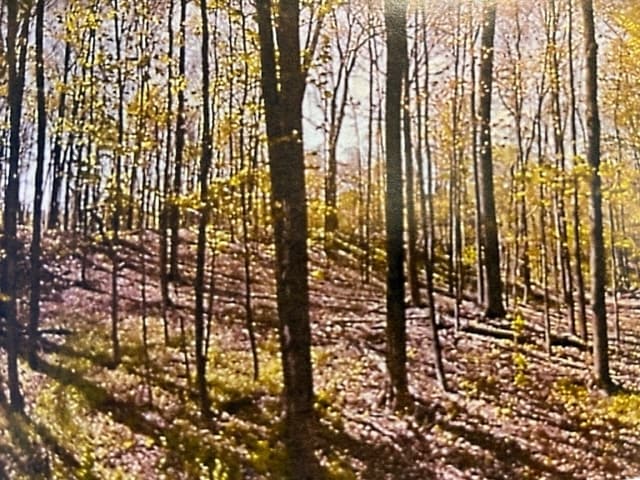 120 Forest Dr, Hyde Park, NY for sale - Primary Photo - Image 1 of 2