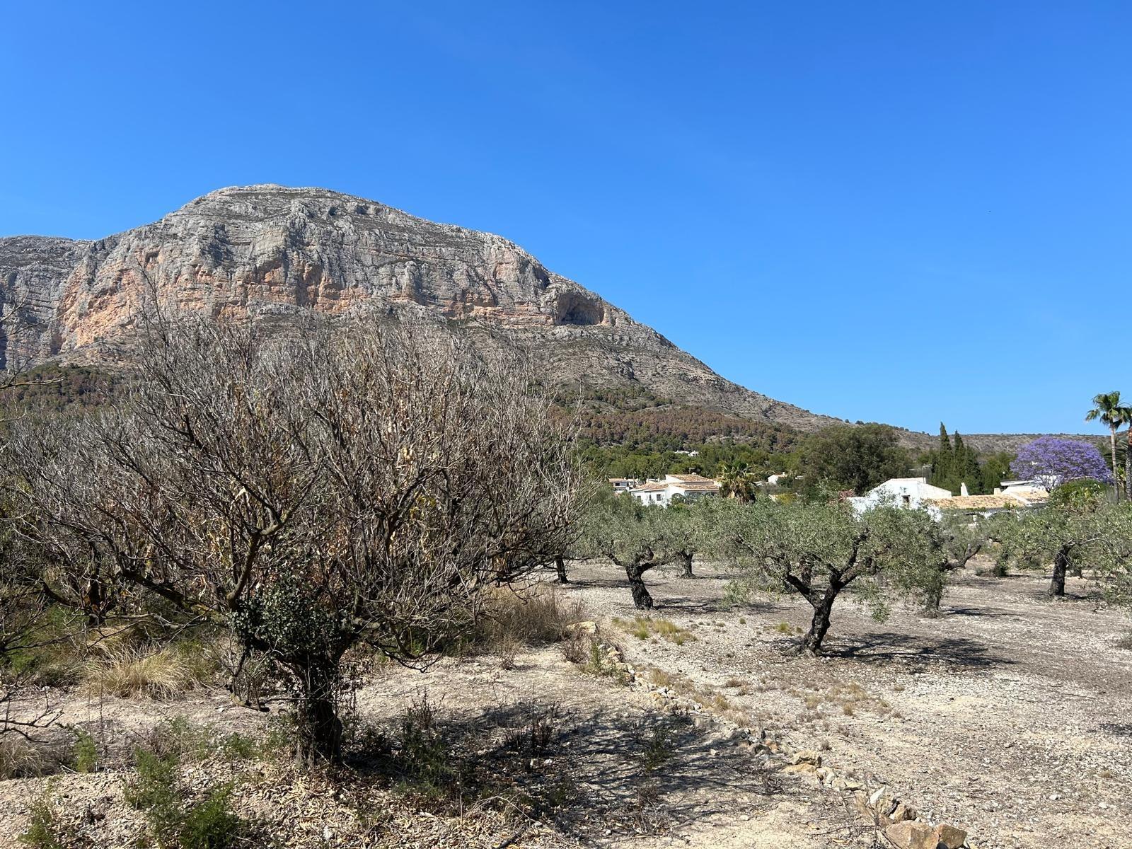 Terrain dans XÀBIA, Alicante à vendre Photo du bâtiment- Image 1 de 11