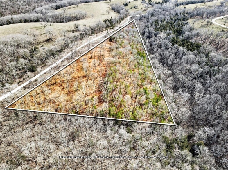000 Regal Heights Ln, Galena, MO à vendre - Photo principale - Image 1 de 1