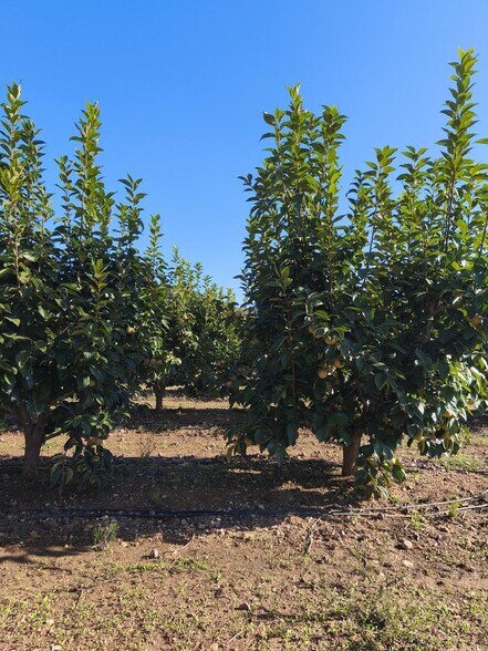 Plaça Bandes de Música de la Comunitat Valenciana, 5, València, Valencia à vendre - Photo du bâtiment - Image 2 de 6
