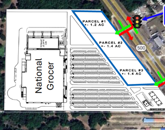 More details for 12110 SE US Highway 441, Belleview, FL - Retail for Lease