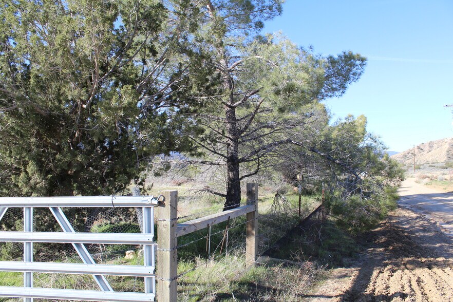 4190 Quatal Canyon Rd, Maricopa, CA à vendre - Photo du bâtiment - Image 2 de 20