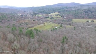 More details for Mt Eden Estates Rd, Lexington, NY - Land for Sale