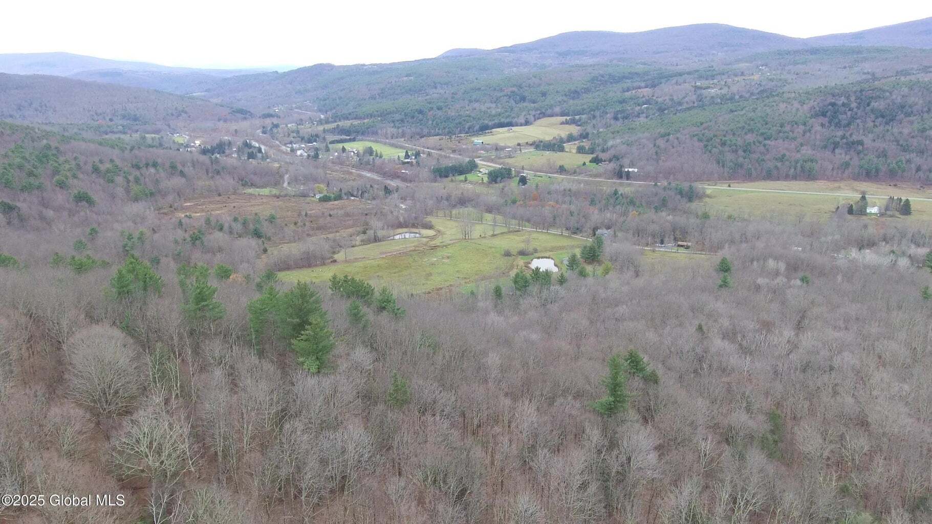 Mt Eden Estates Rd, Lexington, NY for sale Primary Photo- Image 1 of 13