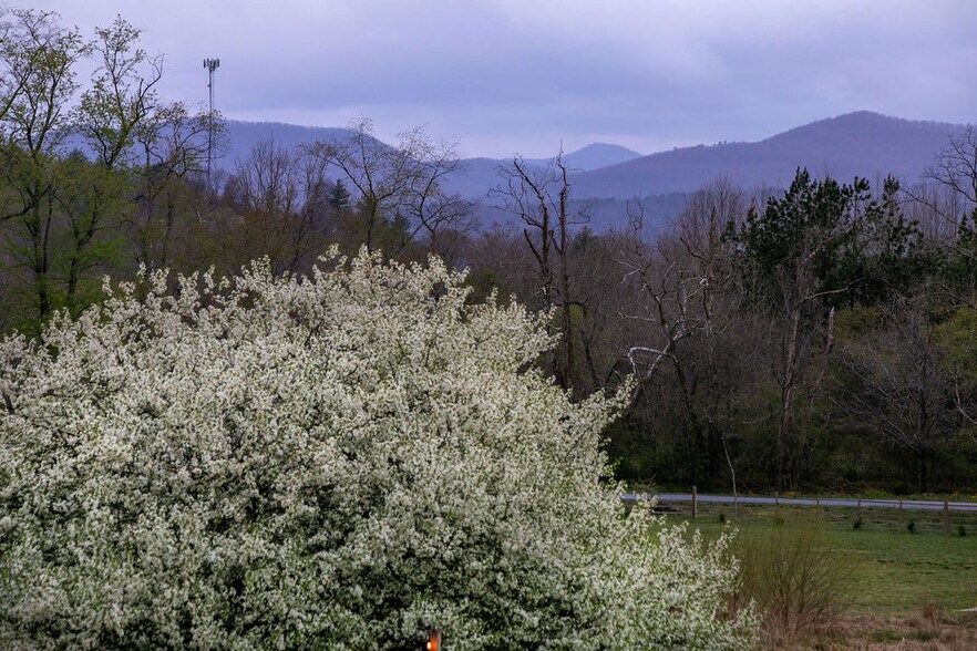151 Everett Rd, Pisgah Forest, NC à vendre - Photo du bâtiment - Image 3 de 13