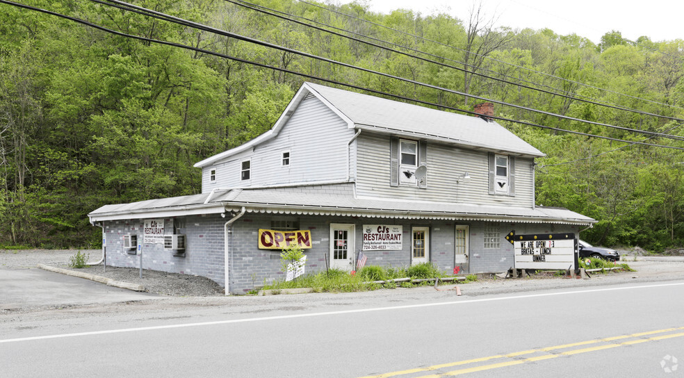 225 Gilliespie Hollow Rd, Fayette City, PA for sale - Primary Photo - Image 1 of 1