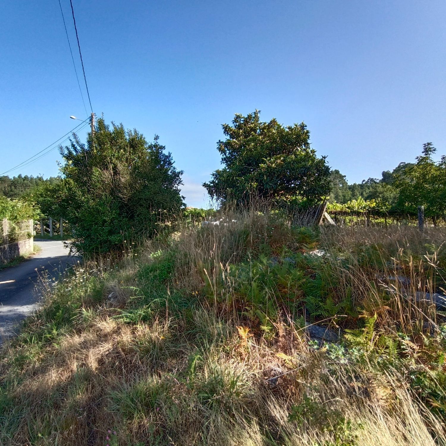 Lugar Lourido, 20, Barro, Pontevedra à vendre Photo principale- Image 1 de 24