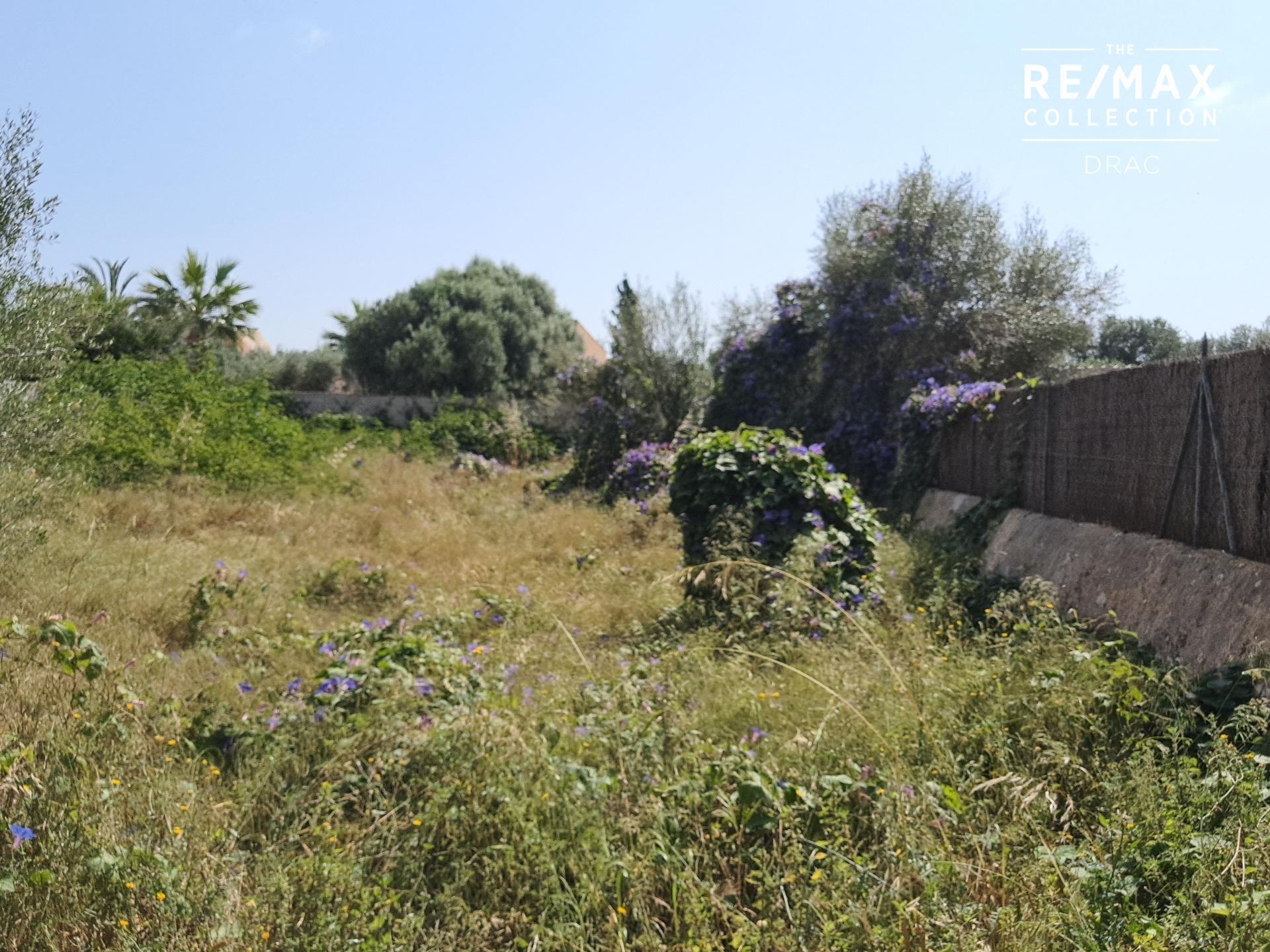 Land in Santanyí, Islas Baleares for sale Primary Photo- Image 1 of 5