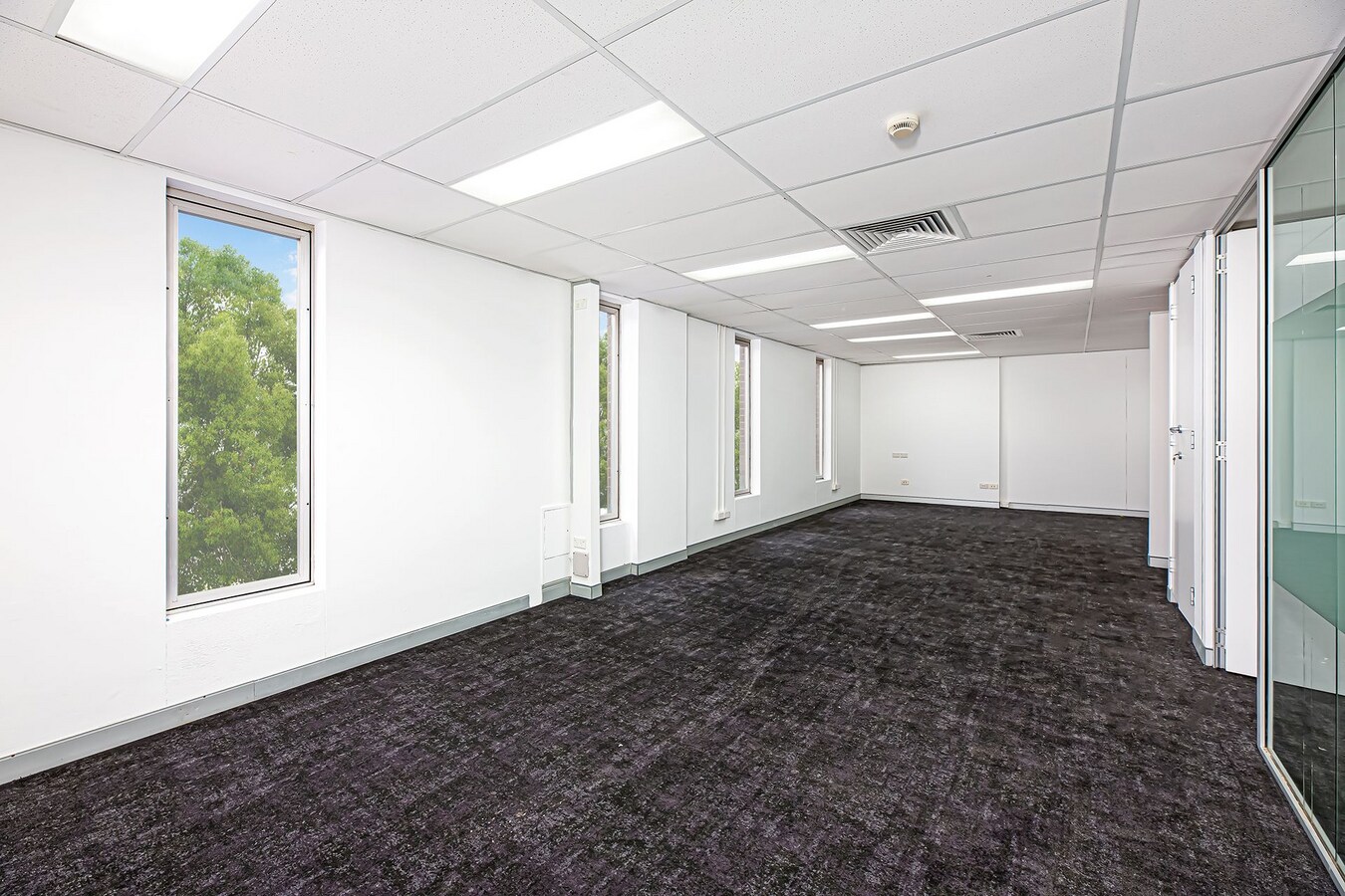 88 Foveaux St, Surry Hills, NSW 2010 - Unit 301 -  - Interior Photo - Image 2 of 8