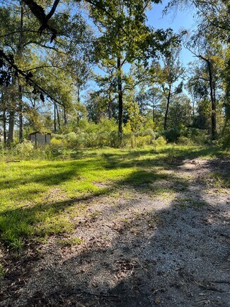 More details for 29960 Henderson Ln, Walker, LA - Land for Sale