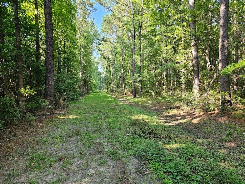 2960 Julius Robertson Rd, Mount Pleasant, SC à vendre - Photo du bâtiment - Image 2 de 7