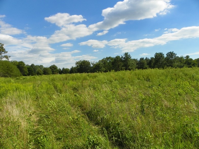 John J Williams Hwy, Millsboro, DE for sale - Other - Image 3 of 5