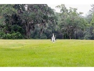 More details for 2984 Water OakPlantation Rd, Tallahassee, FL - Land for Sale