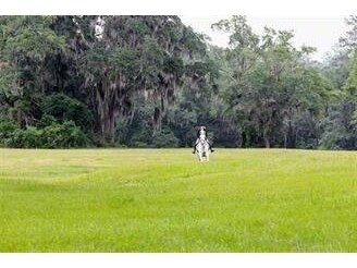 More details for 2984 Wateroak Plantation, Tallahassee, FL - Land for Sale