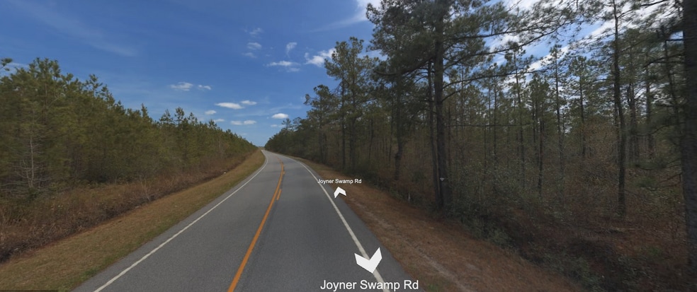 0000 Joyner Swamp Rd, Galivants Ferry, SC à vendre - Photo du bâtiment - Image 2 de 4
