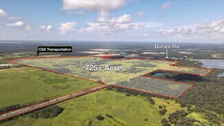 Plus de détails pour 7301 S County Road 39, Plant City, FL - Terrain à vendre